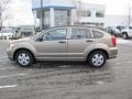 Light Khaki Metallic - Caliber SE Photo No. 4
