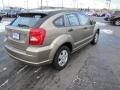 Light Khaki Metallic - Caliber SE Photo No. 7