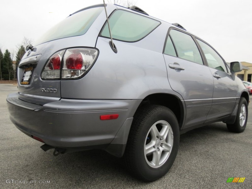 2003 RX 300 - Millenium Silver Metallic / Ivory photo #3