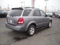 Alpine Gray - Sorento LX Photo No. 10