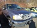 Medium Wedgewood Blue Metallic 2001 Ford Expedition XLT 4x4