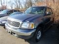 Medium Wedgewood Blue Metallic - Expedition XLT 4x4 Photo No. 3