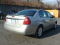 2006 Silverstone Metallic Chevrolet Malibu LT V6 Sedan  photo #4