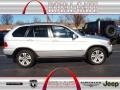 Titanium Silver Metallic - X5 4.4i Photo No. 1