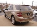 2009 Sand Beige Metallic Mercedes-Benz ML 350 4Matic  photo #5