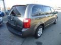 Dark Titanium Metallic - Grand Caravan SE Photo No. 7