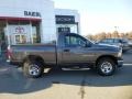 2004 Graphite Metallic Dodge Ram 1500 ST Regular Cab 4x4  photo #8