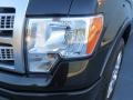 Tuxedo Black Metallic - F150 Platinum SuperCrew Photo No. 8