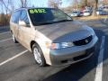 Mesa Beige Metallic - Odyssey EX Photo No. 1