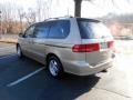 Mesa Beige Metallic - Odyssey EX Photo No. 5