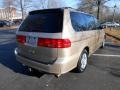 Mesa Beige Metallic - Odyssey EX Photo No. 7