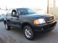 2004 Aspen Green Metallic Ford Explorer XLT 4x4  photo #5