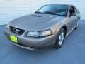 2002 Mineral Grey Metallic Ford Mustang V6 Coupe  photo #6