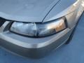 2002 Mineral Grey Metallic Ford Mustang V6 Coupe  photo #8