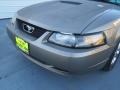 2002 Mineral Grey Metallic Ford Mustang V6 Coupe  photo #9