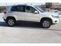 White Gold Metallic - Tiguan S Photo No. 10