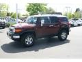 Brick Red - FJ Cruiser 4WD Photo No. 5