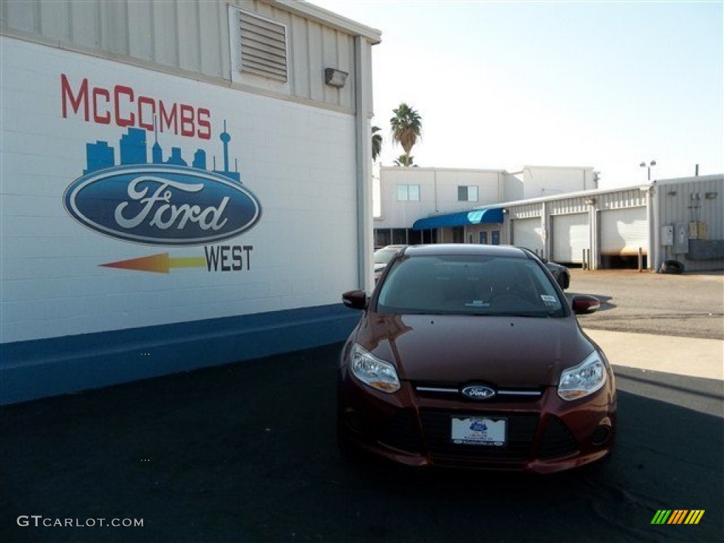 2013 Focus SE Hatchback - Ruby Red / Medium Light Stone photo #1