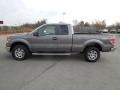 Sterling Grey Metallic 2010 Ford F150 XLT SuperCab 4x4 Exterior