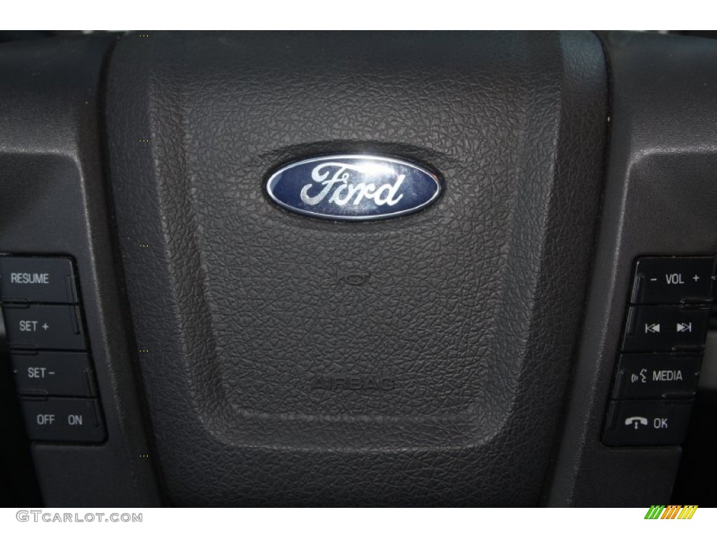 2010 F150 FX4 SuperCrew 4x4 - Tuxedo Black / Black photo #20