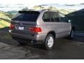 2004 Kalahari Beige Metallic BMW X5 3.0i  photo #3