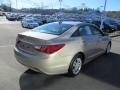 Camel Pearl - Sonata GLS Photo No. 6