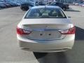 Camel Pearl - Sonata GLS Photo No. 7