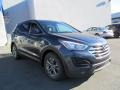 Marlin Blue - Santa Fe Sport Photo No. 3