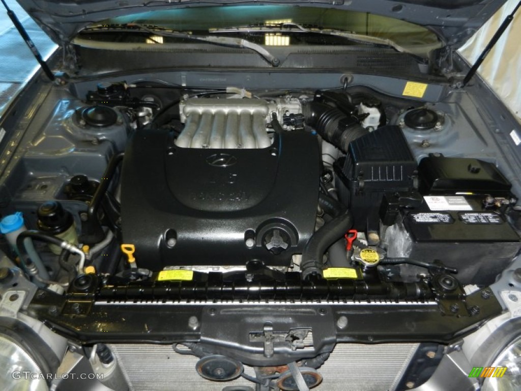 2004 Sonata V6 - Slate Gray / Black photo #10