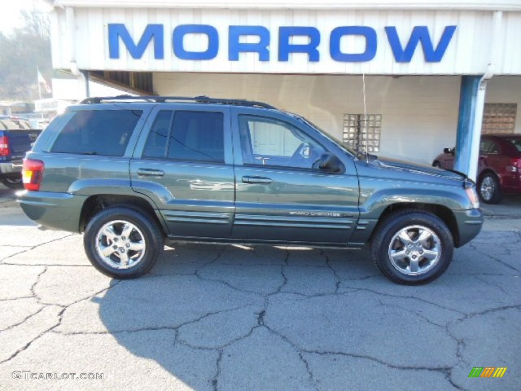 Onyx Green Pearl Jeep Grand Cherokee