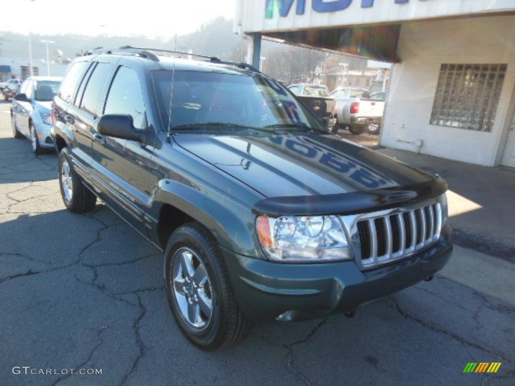 2004 Grand Cherokee Laredo 4x4 - Onyx Green Pearl / Dark Slate Gray photo #2