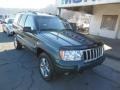 2004 Onyx Green Pearl Jeep Grand Cherokee Laredo 4x4  photo #2