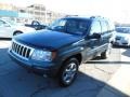 Onyx Green Pearl - Grand Cherokee Laredo 4x4 Photo No. 4