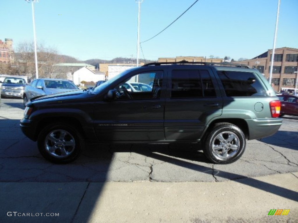 2004 Grand Cherokee Laredo 4x4 - Onyx Green Pearl / Dark Slate Gray photo #5