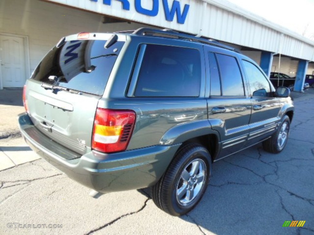 2004 Grand Cherokee Laredo 4x4 - Onyx Green Pearl / Dark Slate Gray photo #8