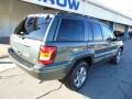 Onyx Green Pearl - Grand Cherokee Laredo 4x4 Photo No. 8