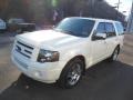 White Platinum Tri-Coat Metallic - Expedition Limited 4x4 Photo No. 4