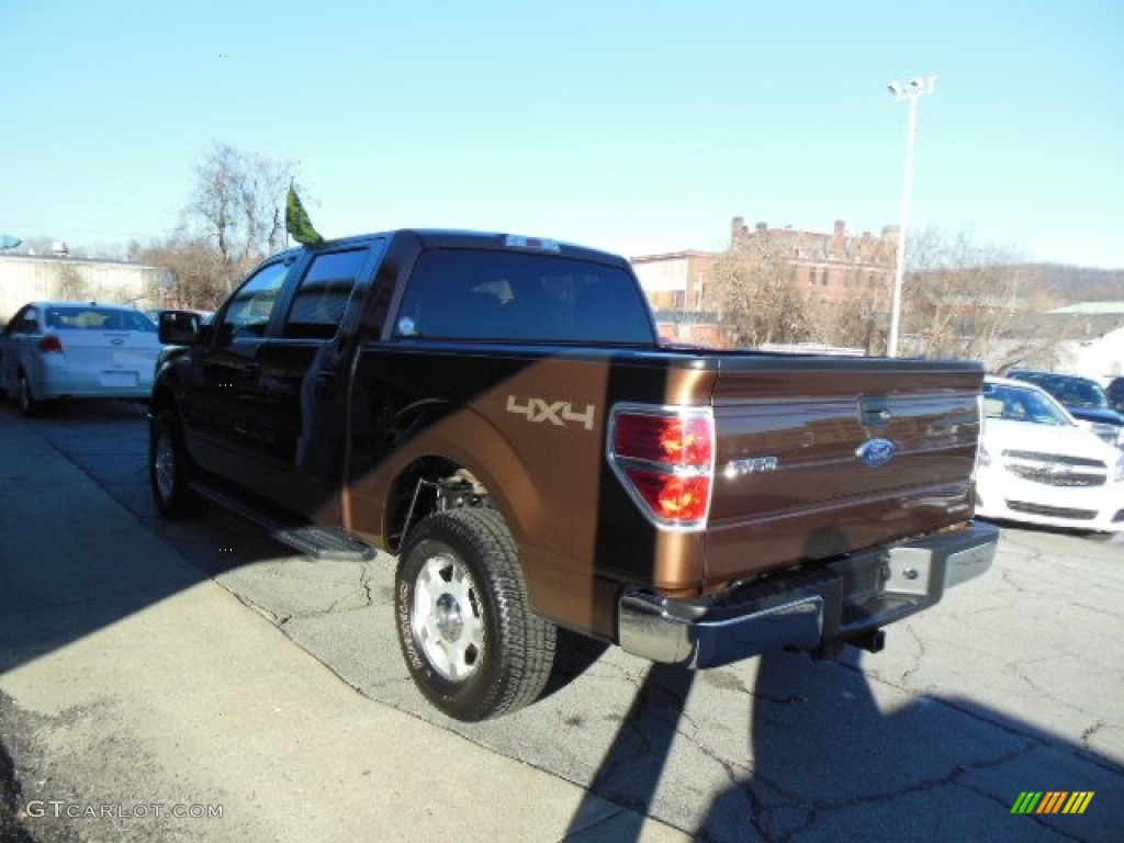 2012 F150 XLT SuperCrew 4x4 - Golden Bronze Metallic / Pale Adobe photo #6