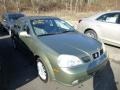 Desert Green Metallic 2004 Suzuki Forenza LX