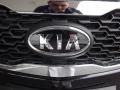 2013 Aurora Black Pearl Kia Forte EX  photo #20