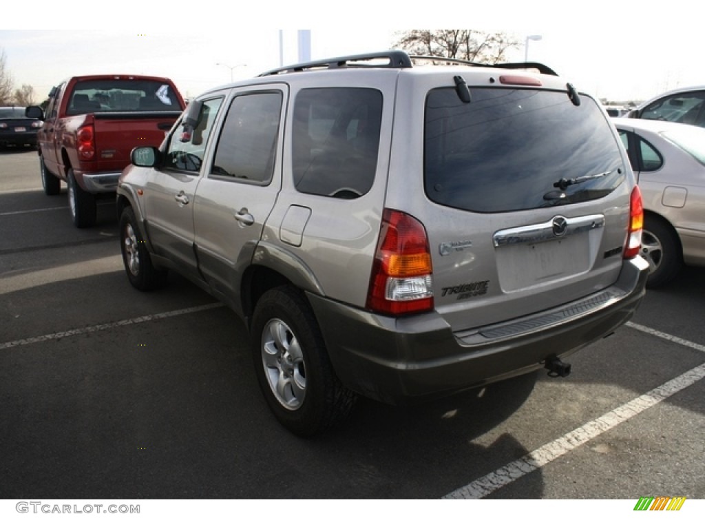2002 Tribute LX V6 4WD - Chestnut Metallic / Beige photo #3