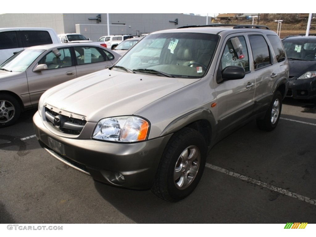 2002 Tribute LX V6 4WD - Chestnut Metallic / Beige photo #4