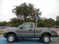 2013 Sterling Gray Metallic Ford F150 XL Regular Cab 4x4  photo #2