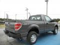 Sterling Gray Metallic - F150 XL Regular Cab 4x4 Photo No. 3