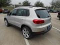 White Gold Metallic - Tiguan SEL Photo No. 5