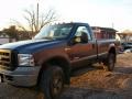 True Blue Metallic 2006 Ford F350 Super Duty XL Regular Cab 4x4