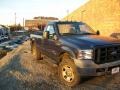 True Blue Metallic - F350 Super Duty XL Regular Cab 4x4 Photo No. 4