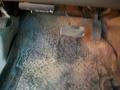 True Blue Metallic - F350 Super Duty XL Regular Cab 4x4 Photo No. 13