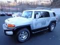 Titanium Metallic - FJ Cruiser 4WD Photo No. 2