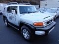 Titanium Metallic - FJ Cruiser 4WD Photo No. 3